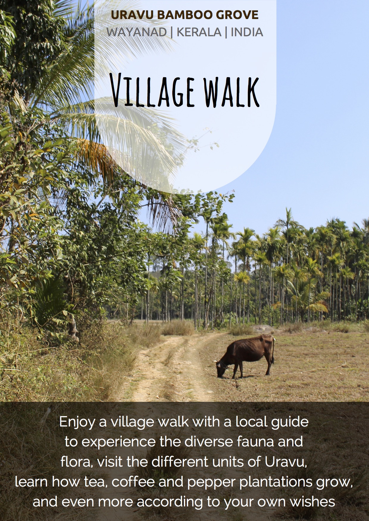 Village walk activity in Uravu Bamboo Grove Wayanad