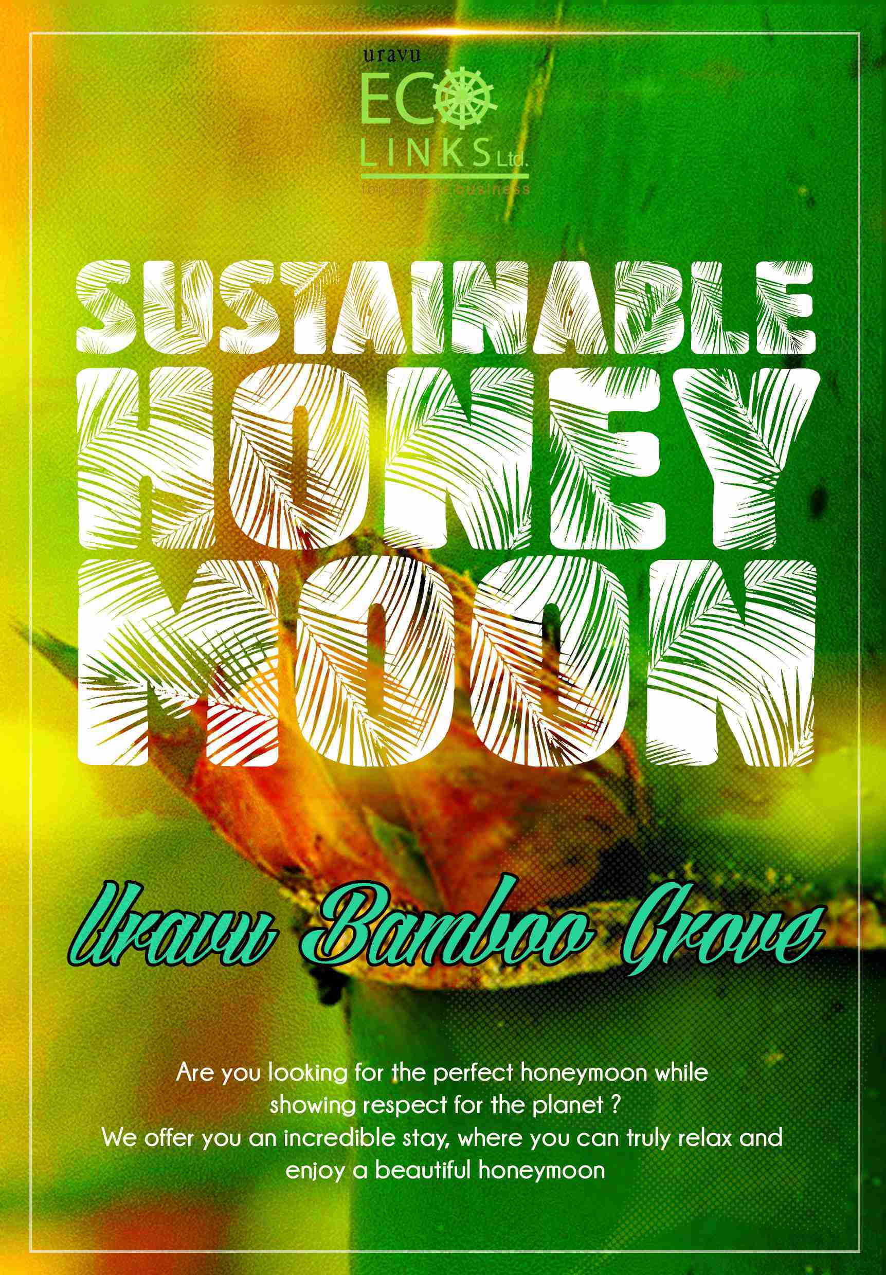 Sustainable honeymoon package honeymoon package in Wayanad