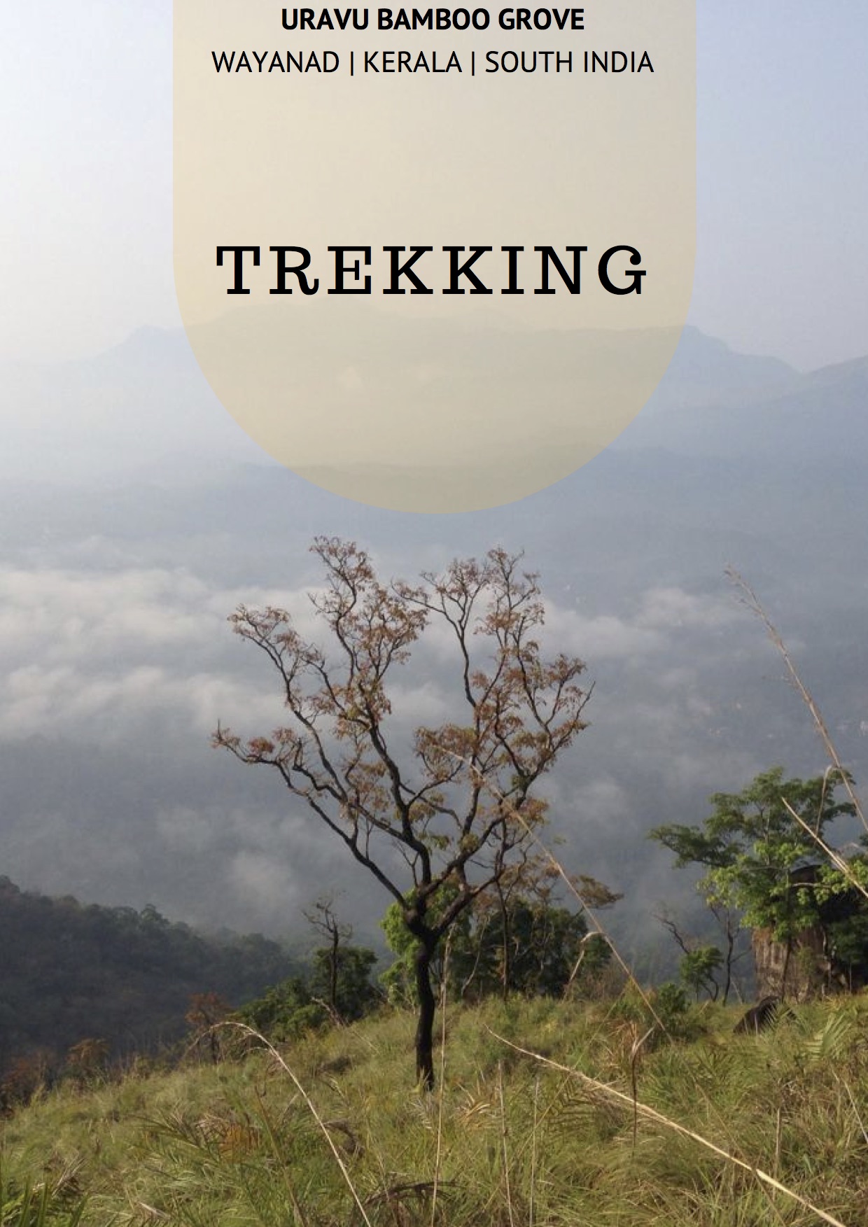 Trekking activity in Uravu Bamboo Grove Wayanad