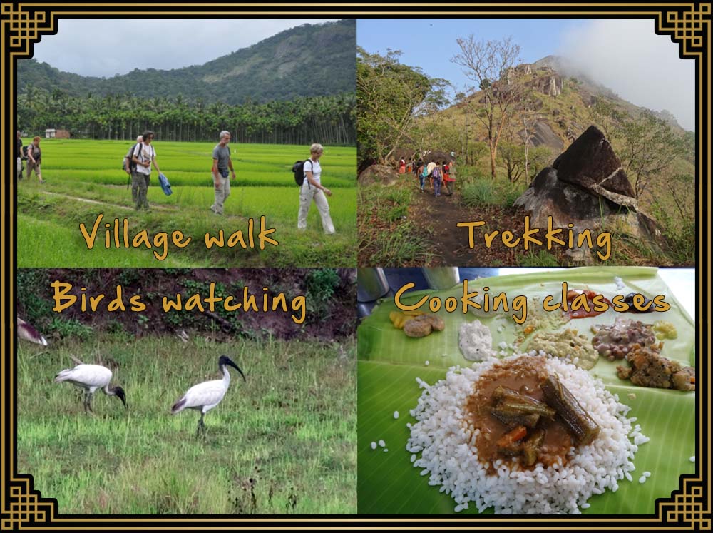 additional services and packages in Wayanad from uravu bamboo grove