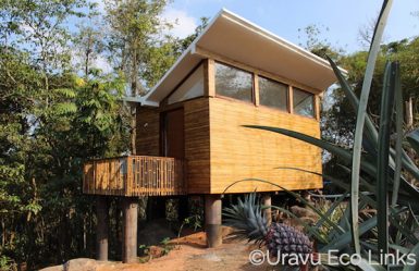 Uravu_Bamboo_Grove_Style_in_the_Wild_1 copie copie