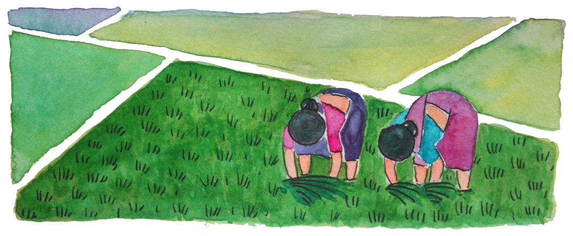 Be_a_Farmer_50