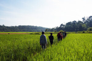 Birdwatching Tour
