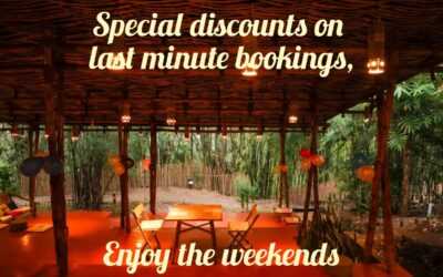 Escape to Uravu Bamboo Grove: Your Weekend Getaway Awaits!