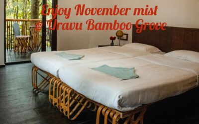 Book your stay at a discount rate